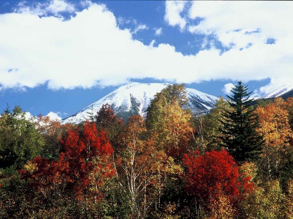Sunfuraton Nakafurano